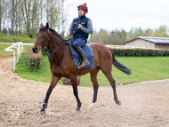 BP140425-6 - Squire Danagher (red hat)